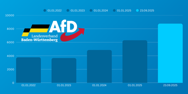 AfD Baden-Württemberg